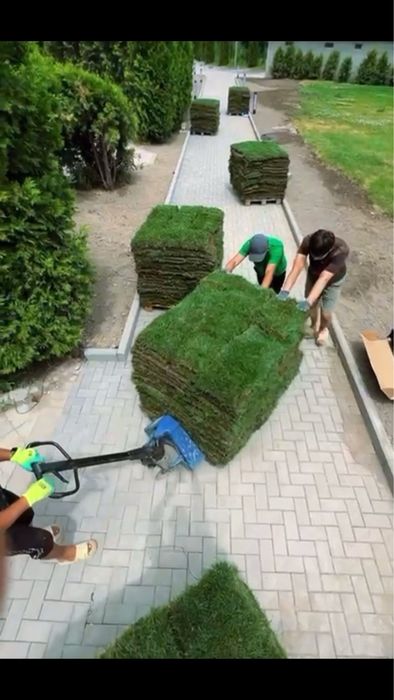 Рулонные газонн