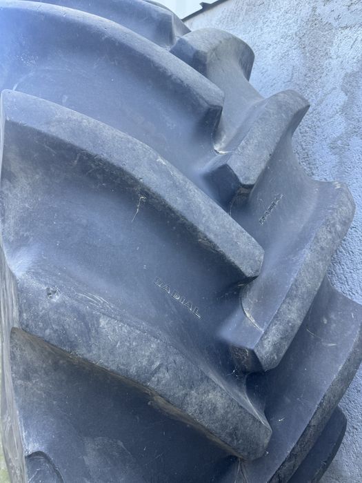 Vand caucicuri 800-65-32