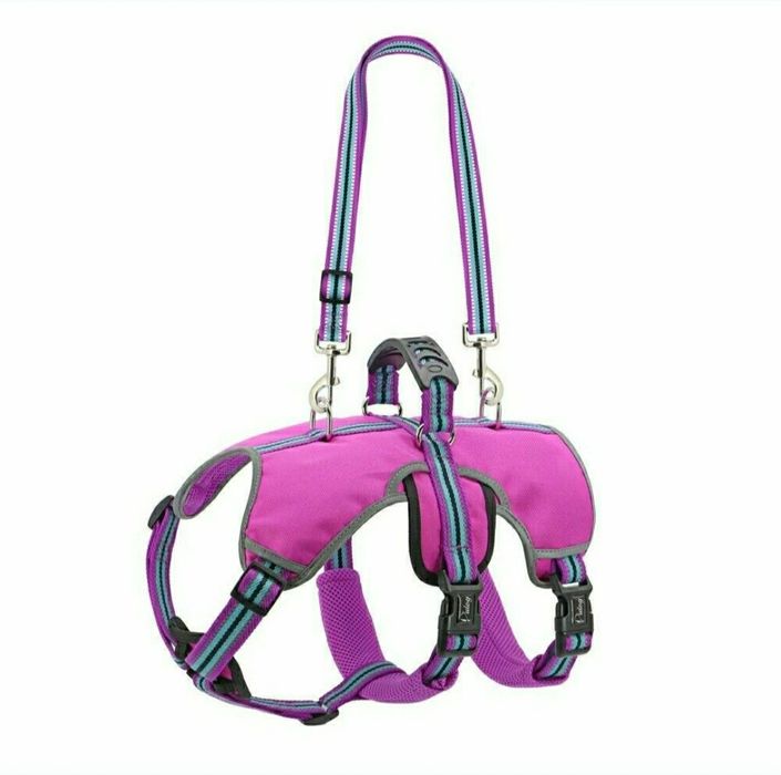 Ham pt câine de talie mare idog