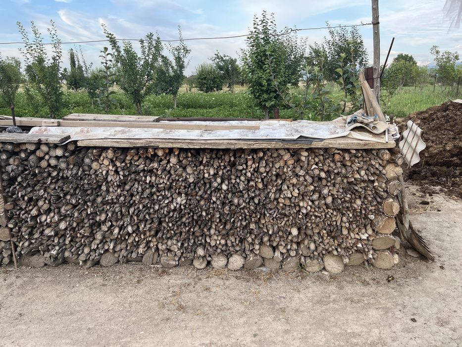 Продам дрова в поленьях