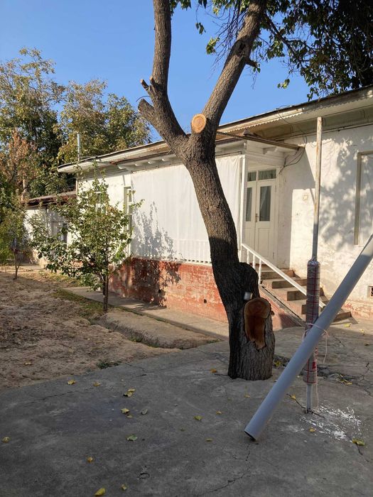 Сергили тумани Жунарик кучаси 47А уй.Ориентир: Само туйхона ва Чоштепа