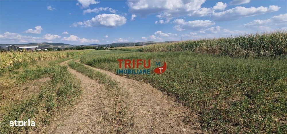 Teren intravilan construibil de 5.900 mp, zonă industrială, Șoseaua de