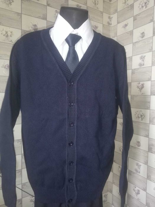 Пусер синий мальчику в школу