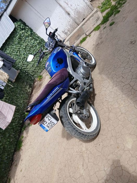 Suzuki gs 500 2001