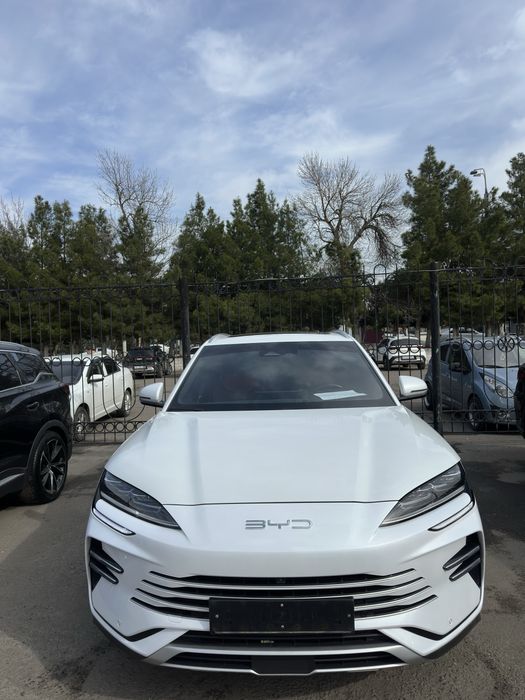 Byd champion 150km DM1 hybrid