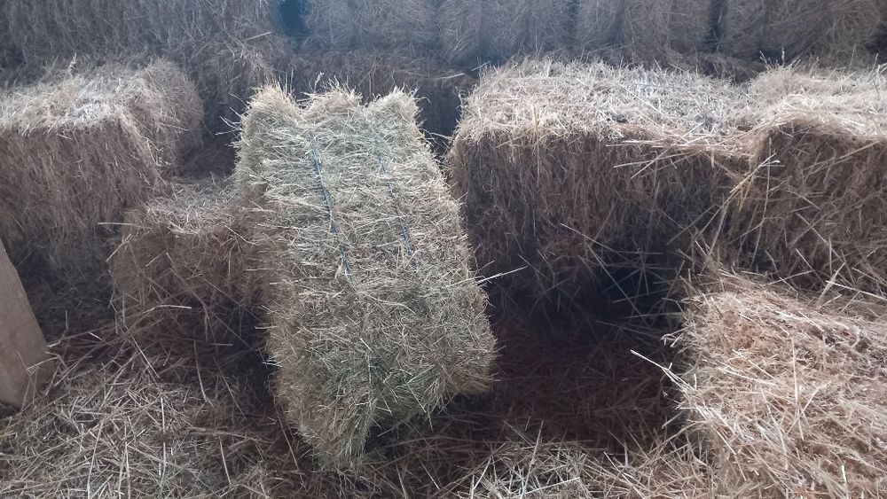 Продавам бали  ечемена слама