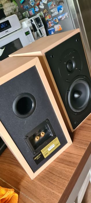 Boxe Argon model 6220,puternice ,sunet de exceptie