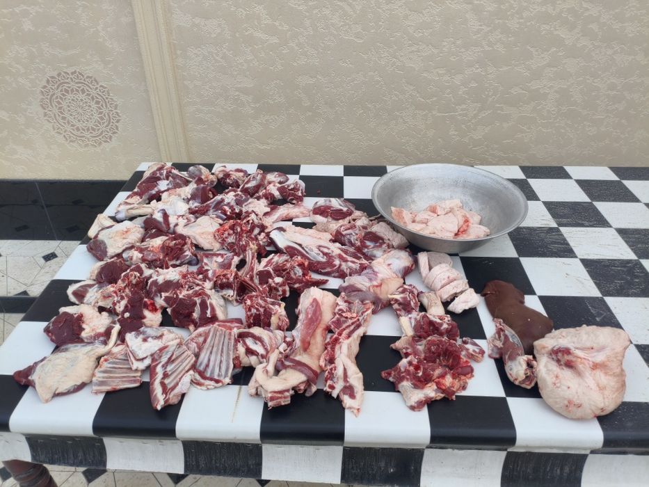 Кассоб хизмати (куй кучкор суйиш хизмати)