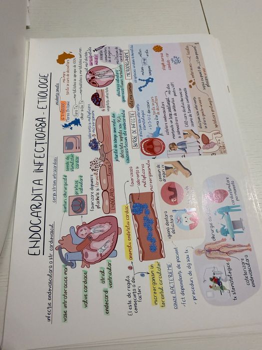 Flashcarduri EI+bolile miocardului/pericardului