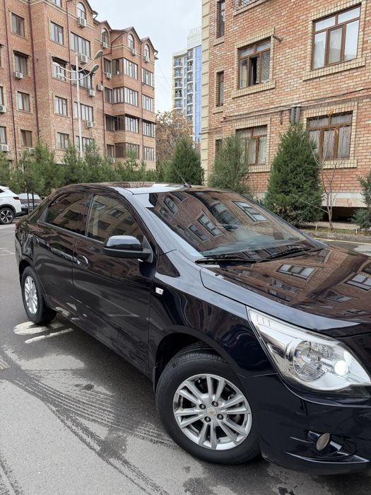 Cobalt full dark mon blue 2023 toza