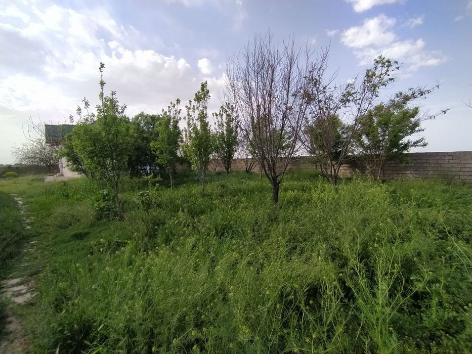 Hovli uy sotiladi tez kunda