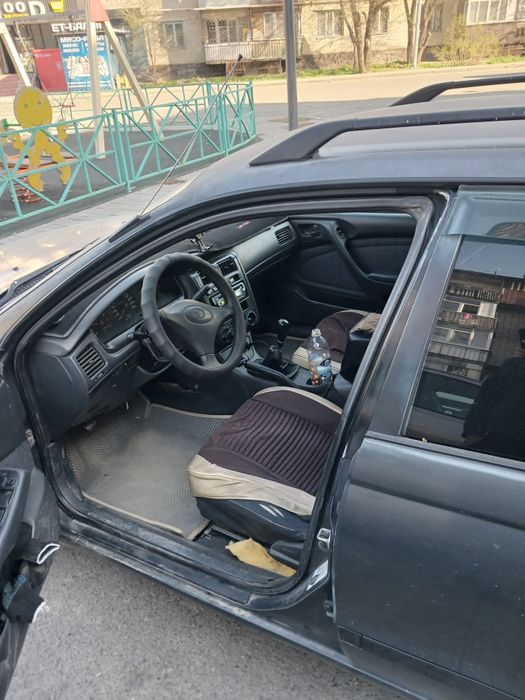 Таета карина дороло