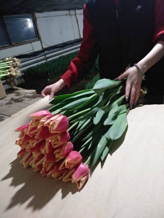 Тюльпаны оптом к 8 марта и 14 февраля.
