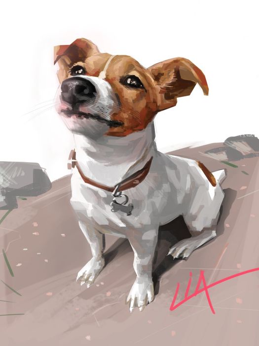 Рисуване по поръчка за подарък от художник