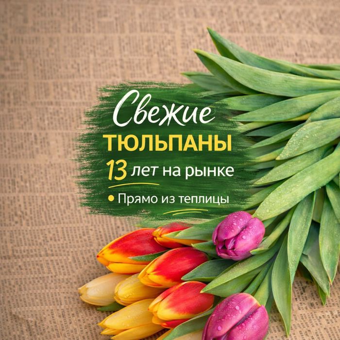 Тюльпаны оптом и в розницу
