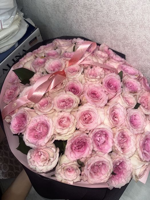 Свежий 51роза сатамын.