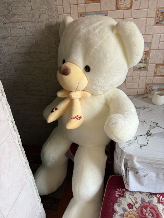 Ақ аю , беллый медвет