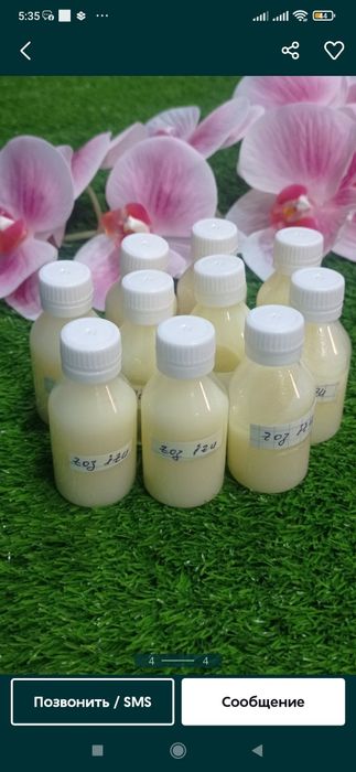 dacha xususiy da yalangoch