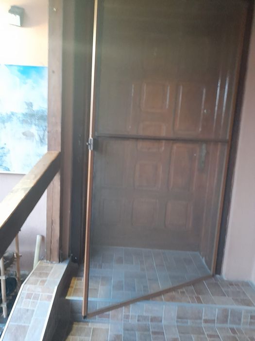 Vand usa(lemn de brad)+sita