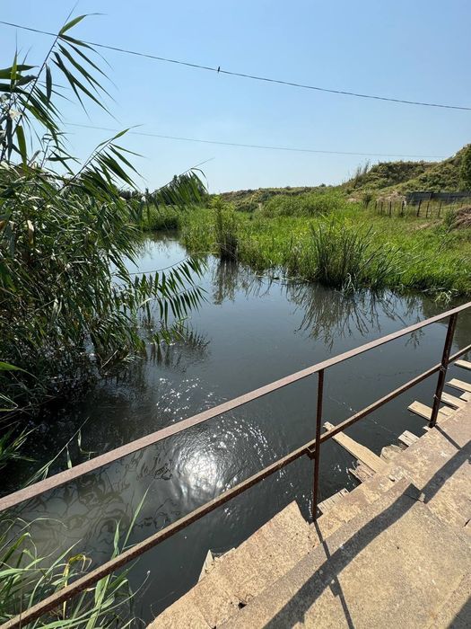 Продаётся ферма в Янгиюле