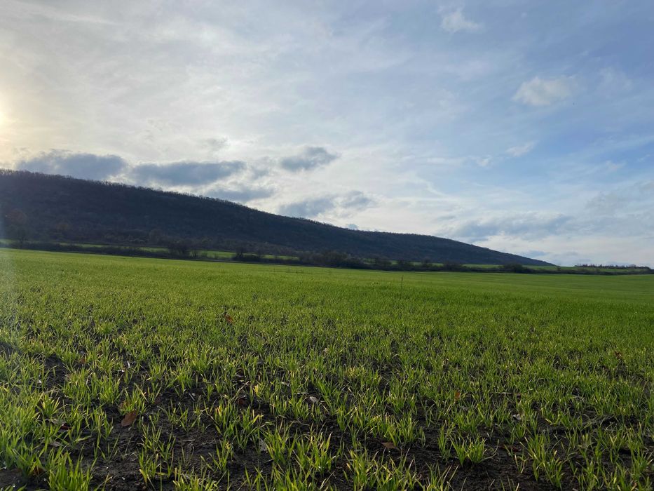 Продава се Земеделски имот в Варна, Автогара -  кв.м за 1071 €/дка - Снимка #1