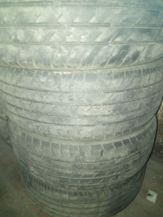 Летние шины TRIANGELA