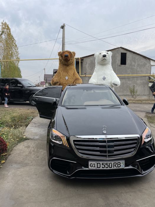 Toza ayiqlar,teddilar,quyonlar va oformleniya xizmati