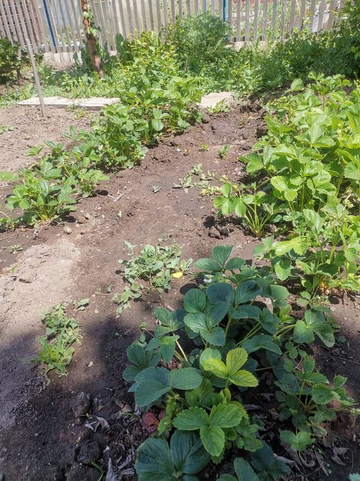 Продам дом Пришахтинск Обмен