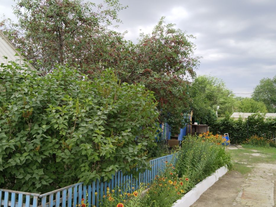 Продам частный дом в Кобде