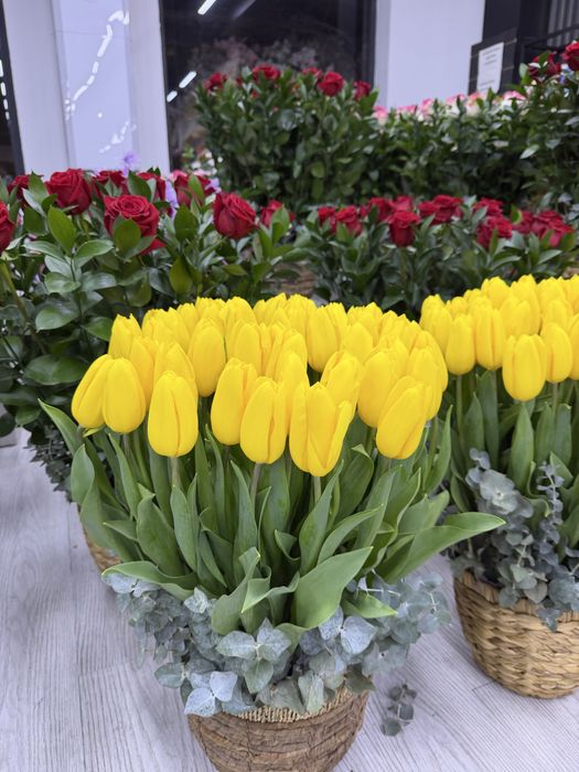 Тюльпаны с доставкой по ташкенту