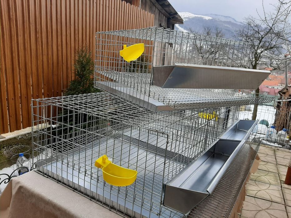 Cusca prepelita 25 cap