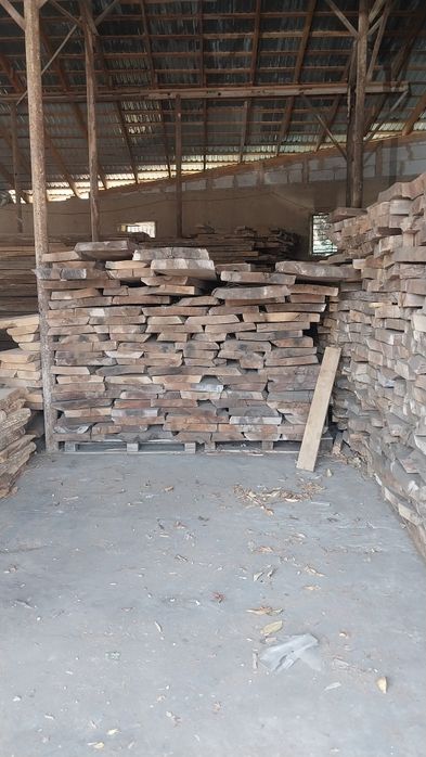 Yasn yongo dubla bor