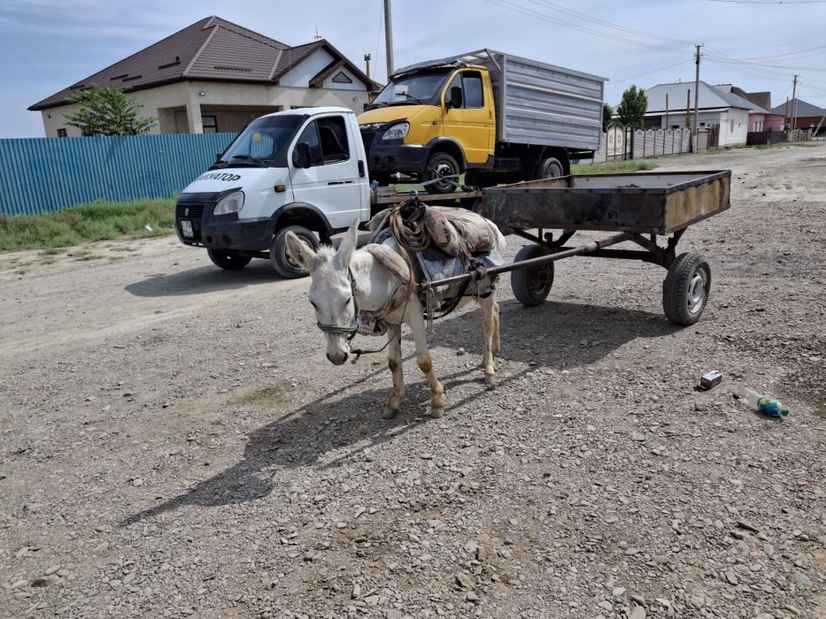 Эвакуатор бар 24/7