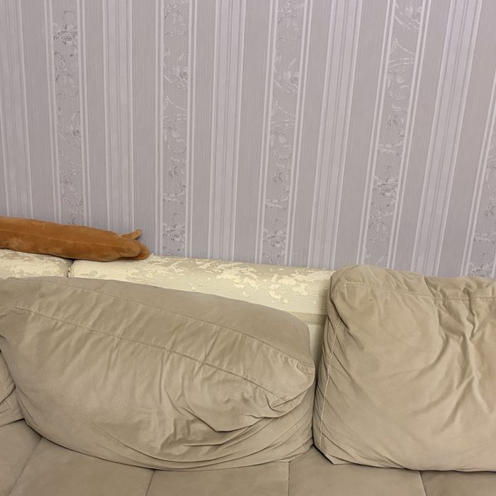 Coltar Cairo care necesita restaurarea scheletului