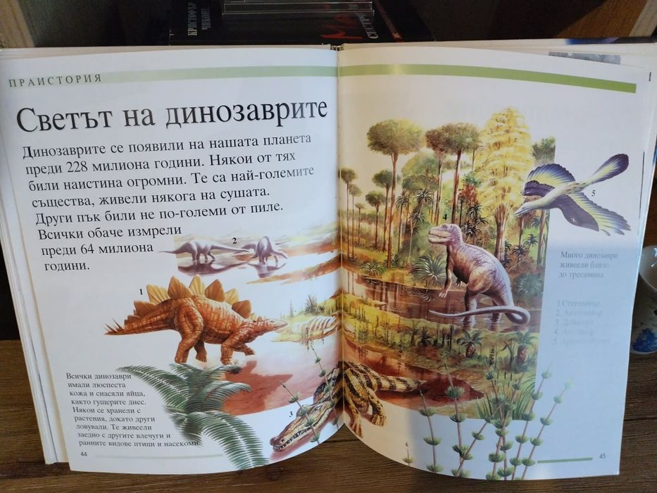 Интересна енциклопедия Вселена и праистория