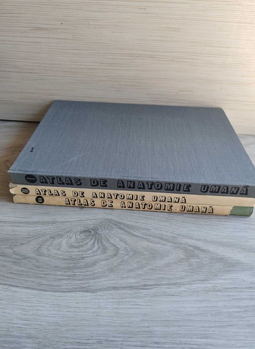 Set atlas de anatomie umana