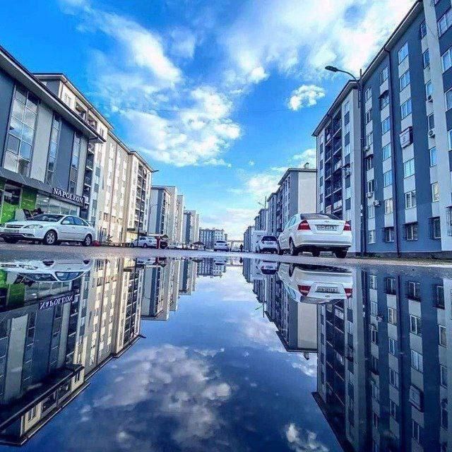 Choshtepada 3 xona sotiladi srochni 67000 ming kelishamiz