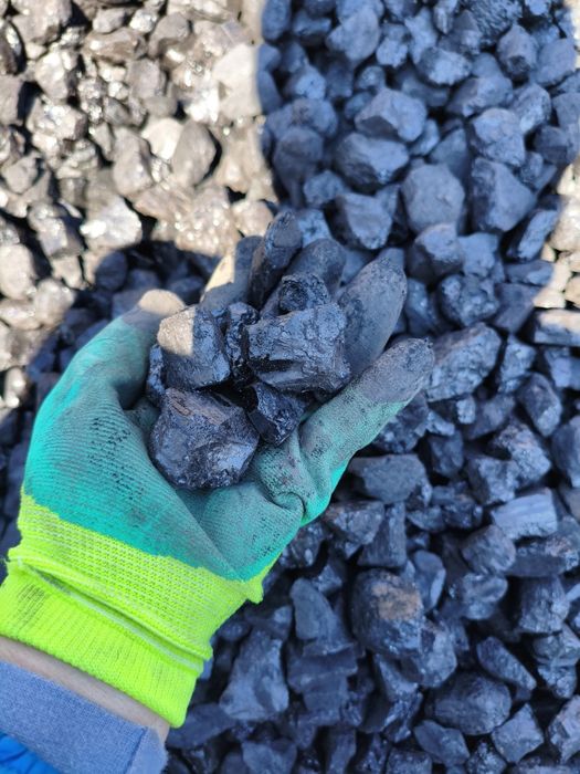 Шубаркуль орешек мешками.