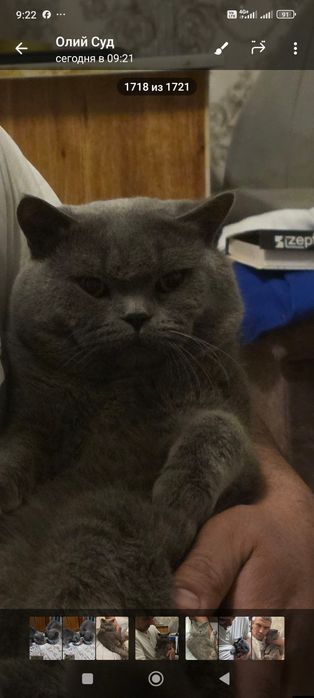 Зотлий Мушук! эрка ва аёл 2 таси 160$