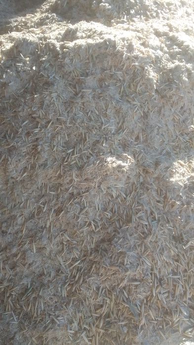 Овёс Отруби Зерноотходы корма полова