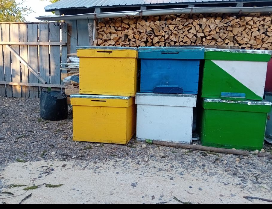 Vând stupi  12 rame