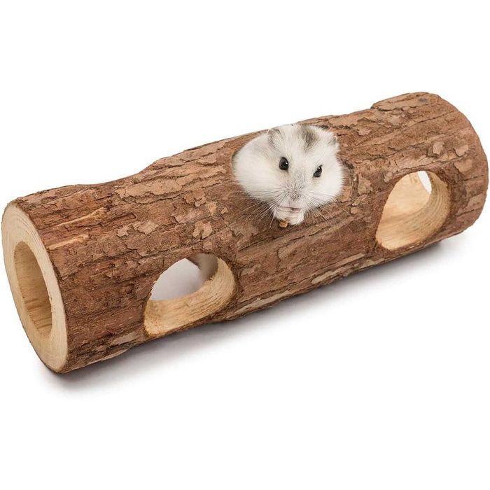Accesorii +- Pui Hamsteri Rusesti (Siberieni), blanzi, NU musca