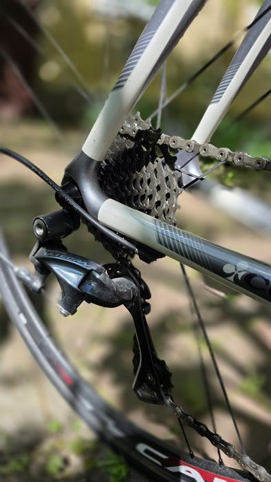Cursiera Colnago CLX 3.0 | Full Carbon | Ultegra | Campagnolo Scirocco