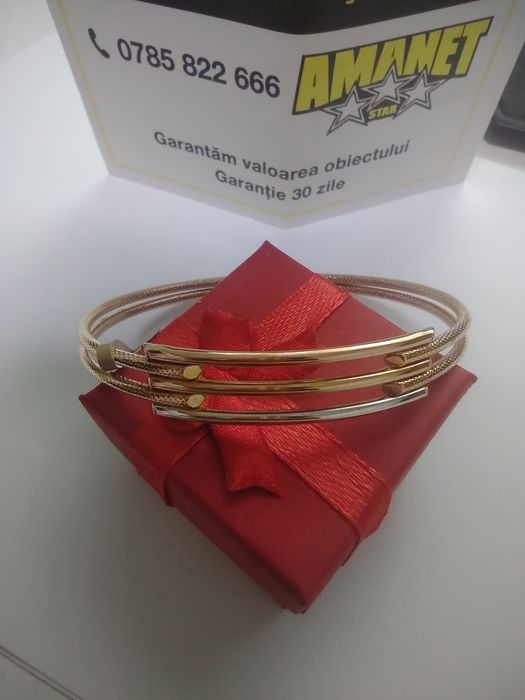 Bratara fixa aur 14k (efn)