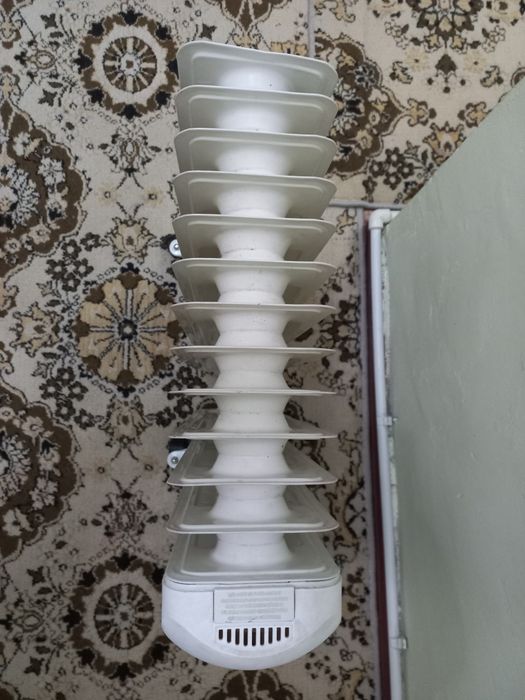 Maslini pech sotiladi arginal