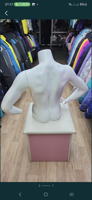 Пролам мужской торс