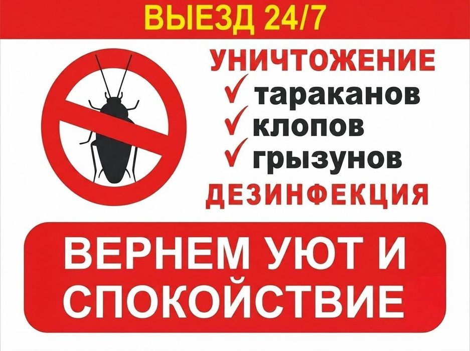 Полное уничтожение тараканов и клопов.  Дезинфекция 24/7