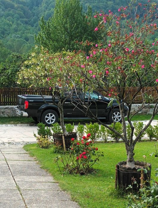 Vând sau schimb Nissan navara