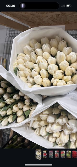 Тюльпаны букетами  по низким ценам