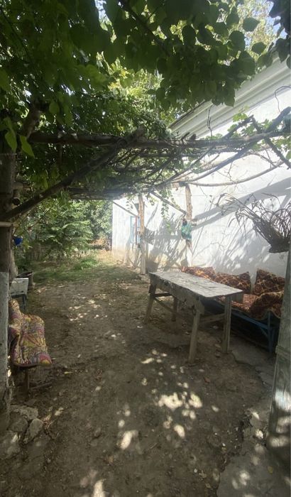 Уй ховли, дом 1 этажеый